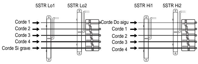 5STR Lo1 5STR Lo2 Corde 1 → Corde 2 → Corde 3 → Corde 4 → Corde Si grave → 5STR Hi1 5STR Hi2 Corde Do aigu → Corde 1 → Corde 2 → Corde 3 → Corde 4 →