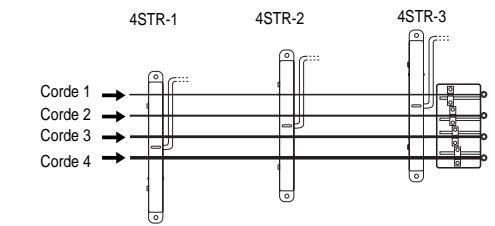 4STR-1 4STR-2 4STR-3 Corde 1 → Corde 2 → Corde 3 → Corde 4 →