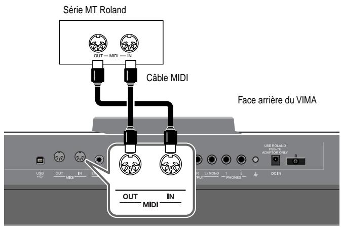 Série MT Roland OUT — MIDI — IN Câble MIDI Face arrière du VIMA USB OUT IN MIDI OUT IN MIDI R L/MONO 1 2 PUT PHONES DC IN USE ROUND F-301 ADAPTER ONLY