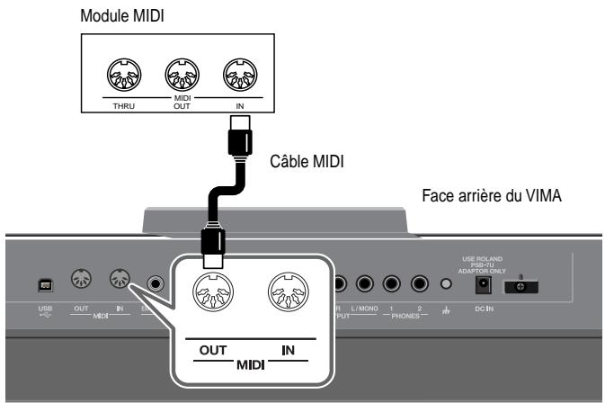 Module MIDI THRU MIDI OUT IN Câble MIDI Face arrière du VIMA USB +0 OUT MIDI IN IN OUT MIDI IN L/MOH 1 PHONES 2 DC IN USE ISOLAND P-2-1 ADAPTOR ONLY L/MOHO IN