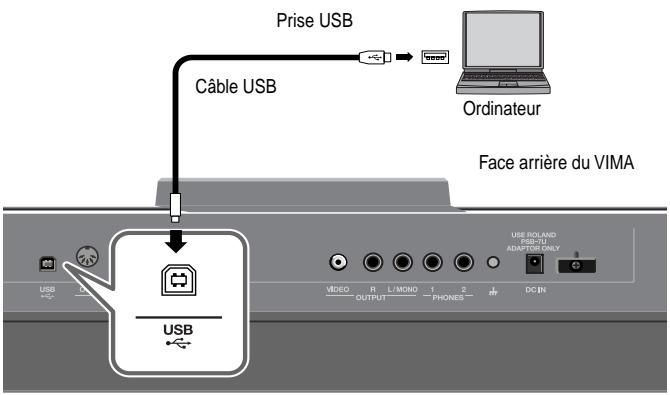 Prise USB Câble USB Ordinateur Face arrière du VIMA USB VIDEO R L/MOND 1 2 OUTPUT PLONES DC IN USE ISOLAND ADAPTIDE ONLY