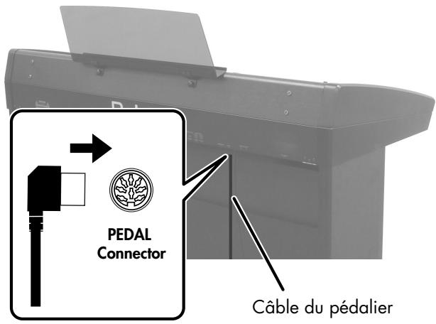 ROLAND VIMA RK-500 - Connexion du cable du pédalier - 1