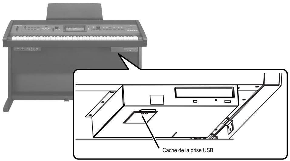 ROLAND VIMA RK-500 - Appuyez sur l'avant du cache de la prise USB pour l'ouvrir. - 1