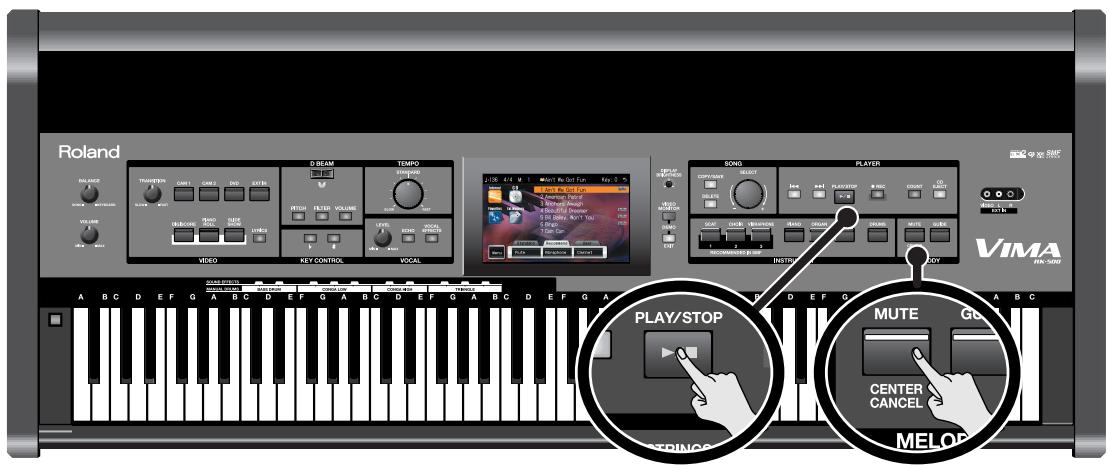 ROLAND VIMA RK-500 - Karaoké sur vos CD favors (CENTER CANCEL) - 1