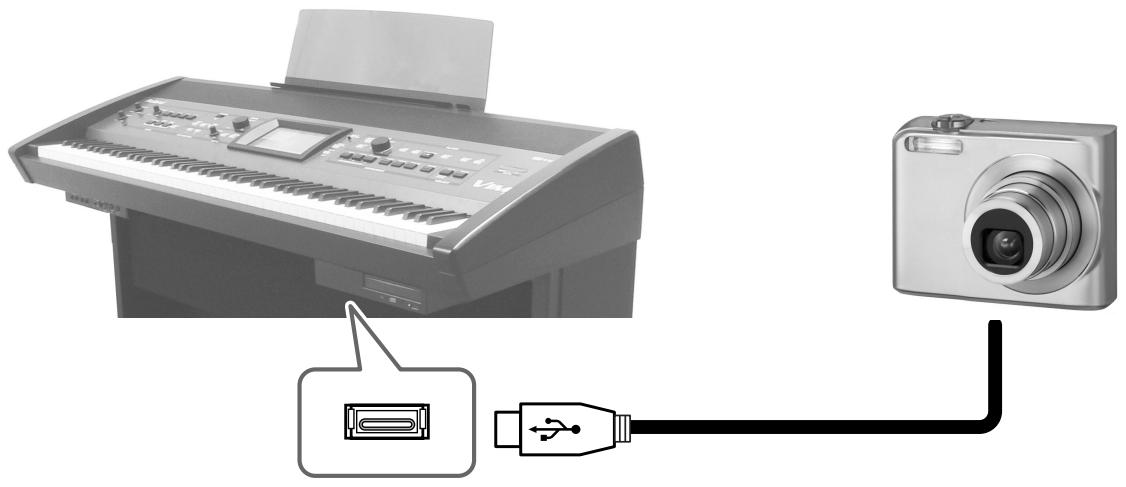 ROLAND VIMA RK-500 - Données d'images pouvant être affichées - 1