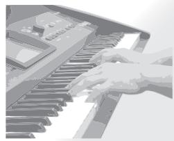 ROLAND VIMA RK-500 - Jouez - 1
