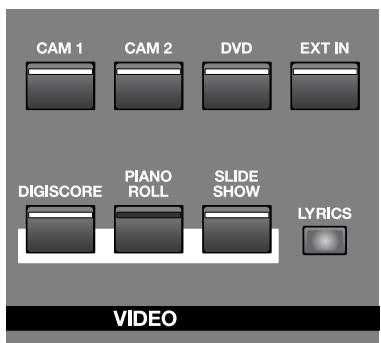 ROLAND VIMA RK-500 - Boutons de selection video - 1