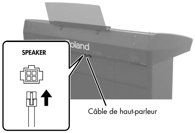 ROLAND VIMA RK-500 - Branchez le cable de haut-parleur venant du pied du VIMA à la prise SPEAKER située à l'arrière de la face inférieure du VIMA. - 1