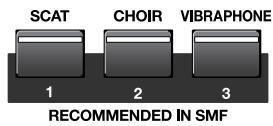 ROLAND VIMA RK-500 - Touchez le bouton dont vous voulez changer le son. - 2