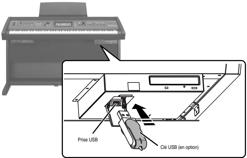 ROLAND VIMA RK-500 - Branchez la clé USB à la prise prévue à cet effet. - 1