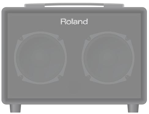 ROLAND AC-33 - Roland - 1