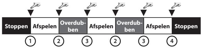 ROLAND AC-33 - De frase overdubben - 1