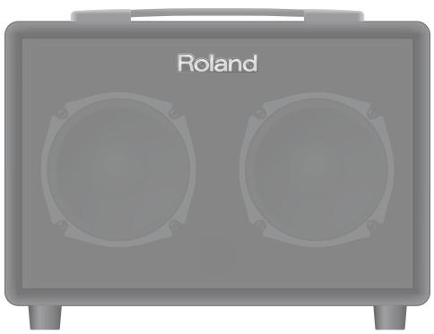 ROLAND AC-33 - Roland - 1