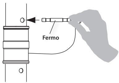 Fermo