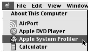 File Edit View Window About This Computer AirPort Apple DVD Player Apple System Profiler Calculator