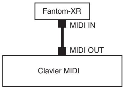 ROLAND FANTOM XR - Branchement du clavier MIDI - 1
