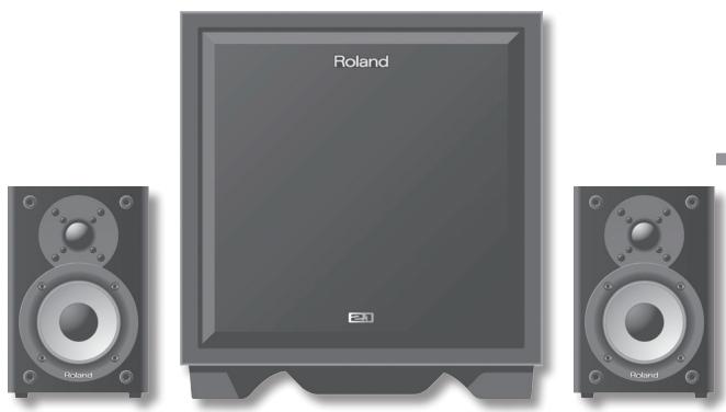 ROLAND CM-110 - ! AVISO - 3