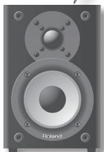 ROLAND CM-110 - AC IN jack - 5