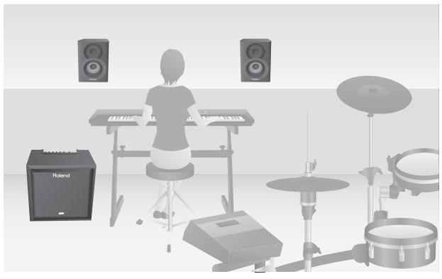 ROLAND CM-110 - Pour les instruments de musique - 1
