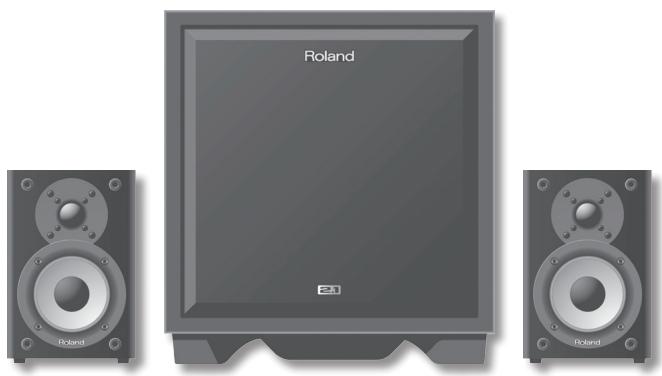 ROLAND CM-110 - IMPORTANT SAFETY INSTRUCTIONS SAVE THESE INSTRUCTIONS - 1