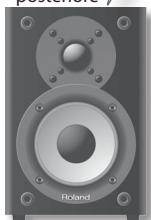ROLAND CM-110 - Jack AC IN - 6
