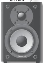 ROLAND CM-110 - Prise AUX IN - 5