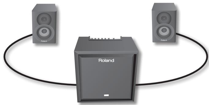 ROLAND CM-110 - CM-220 - 1