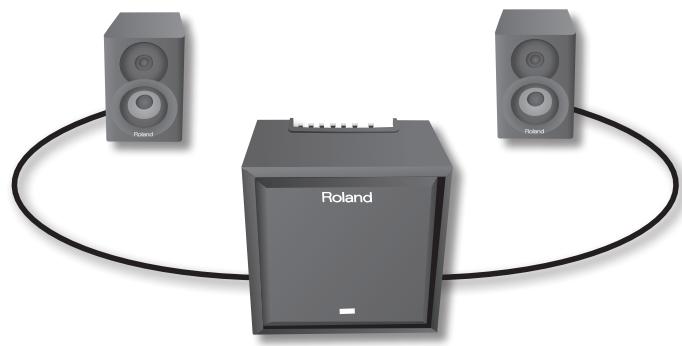 ROLAND CM-110 - Manuale dell'utente - 1