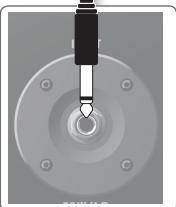 ROLAND CM-110 - Conector AC IN - 3