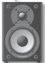 ROLAND CM-110 - Conector AC IN - 4