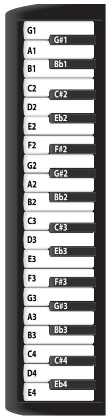 ROLAND FR-2 - Sélection d'une fonction - 2
