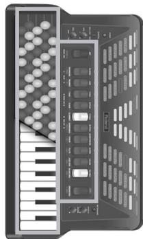 ROLAND FR-3B - Lanière de basse - 2