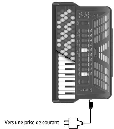 ROLAND FR-3B - Si vous utilisez l'adaptateur fourni - 1