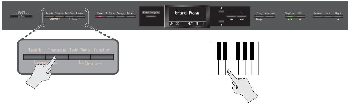 ROLAND HP307-RW - Transposer le clavier (transpose) - 1