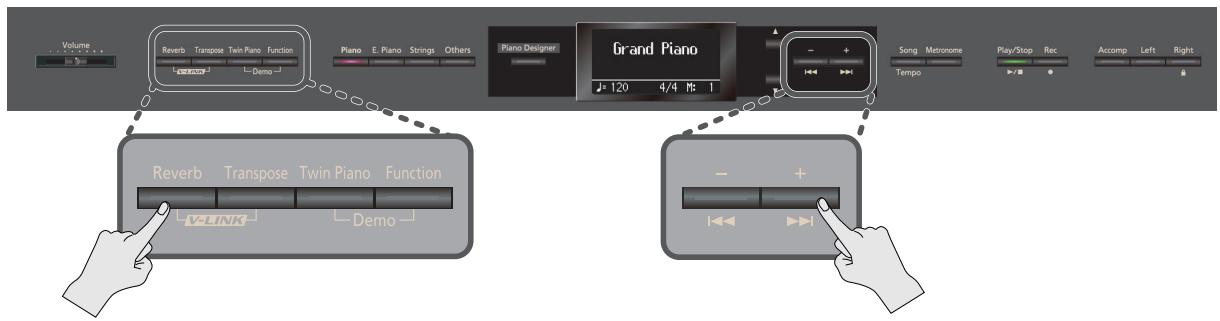 ROLAND HP307-RW - Appuyez sur le bouton [reverb] - 1