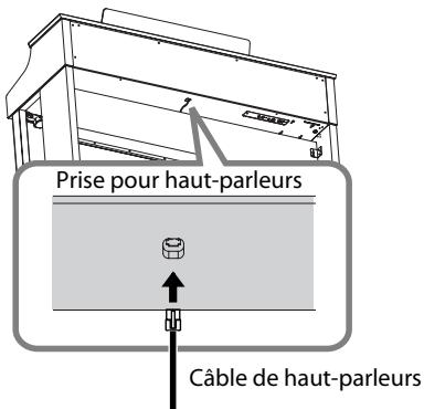 ROLAND HP307-RW - Connexion du câble de haut-parleurs - 1