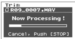 ROLAND R-09 HR SET - Press the [REC Button] to confirm your selection. - 2