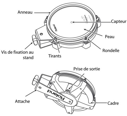 Anneau Capteur Peau Rondelle Vis de fixation au stand Tirants Prise de sortie Attache Poland Cadre