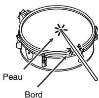 Peau Bord