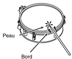 Peau Bord