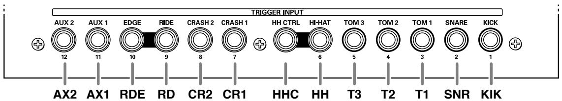 TRIGGER INPUT AUX 2 AUX 1 EDGE RIDE CRASH 2 CRASH 1 HH CTRL HI-HAT TOM 3 TOM 2 TOM 1 SNARE KICK 12 11 10 9 8 7 + 6 5 4 3 2 1 AX2 AX1 RDE RD CR2 CR1 HHC HH T3 T2 T1 SNR KIK