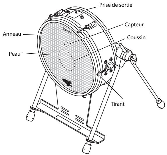 Prise de sortie Capteur Coussin Anneau Peau Rolanda Tirant