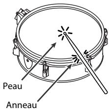 Peau Anneau