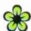 VOLKSWAGEN GOLF PLUS - Avis (suite) - 1