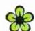 VOLKSWAGEN GOLF PLUS - Avertissement (suite) - 1