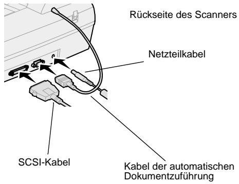 LEXMARK OPTRAIMAGE 242/232 (OCT 2000) - Netzwerkkabel - 1