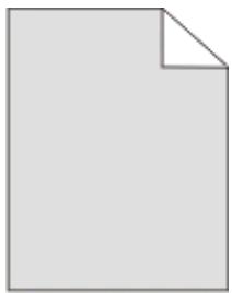 LEXMARK E260D - Fond gris - 1