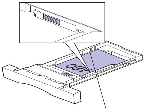 LEXMARK OPTRA C710 - En-tête - 1