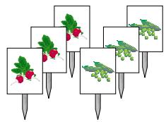 LEXMARK X73 - Clonage de sachets de graines pour l'étiquettage de rangs de jardinage - 2