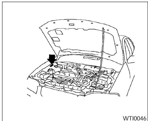 NISSAN SENTRA 2003 - NUMERO D'IDENTIFICATION DU VEHICULE (NUMERO DU CHASSIS) - 6